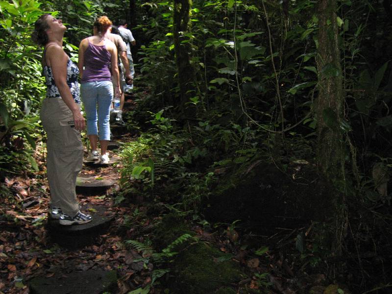 CostaRica-June-11-18-2005-0091 the rainforest tour