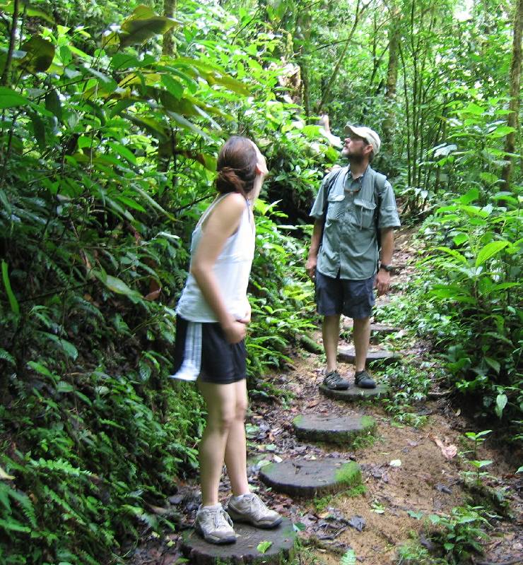 CostaRica-June-11-18-2005-0139 the rainforest walk