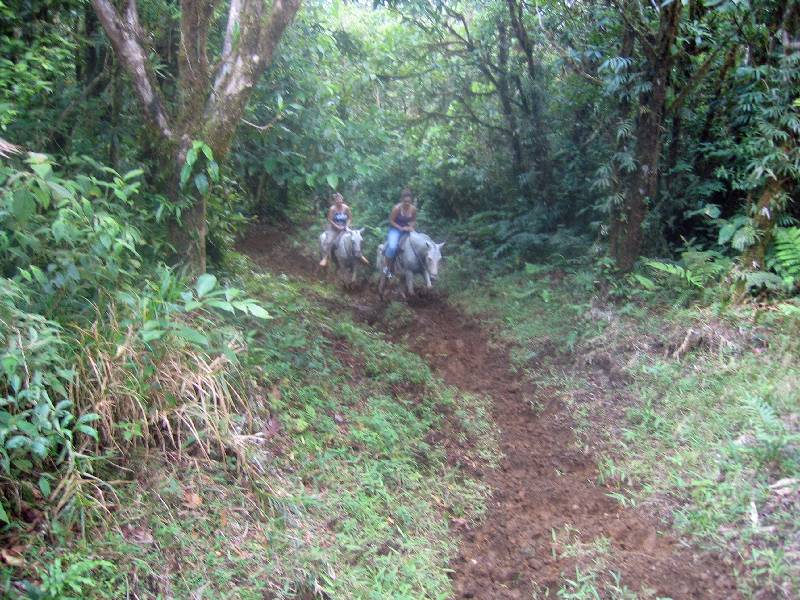 CostaRica-June-11-18-2005-0191 horseback riding