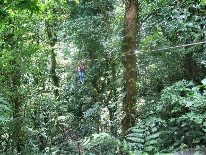 CostaRica-June-11-18-2005-0544 a long ways above the rainforest floor