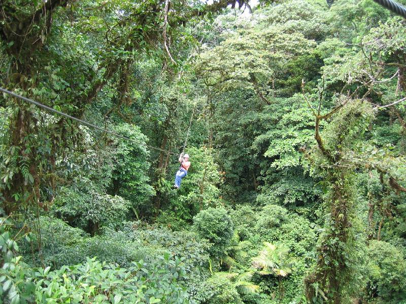 IMG_0214 the canopy tour