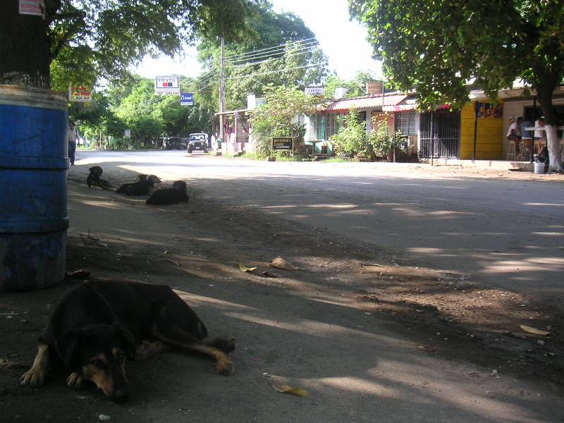 Jen-CostaRica-June2005-133 Playas del Coco street life