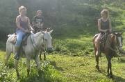 CostaRica-June-11-18-2005-0251 horseback riding