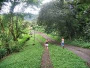 CostaRica-June-11-18-2005-0418 the walk to lunch