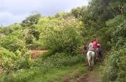 Jen-CostaRica-June2005-069 horseback riding